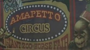 дельфин мне нужен враг