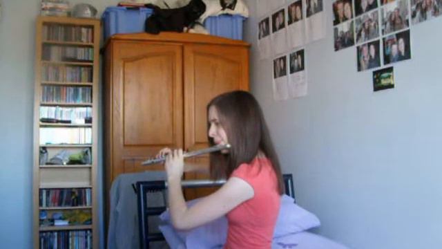 The Medallion Calls (Pirates of the Caribbean) Flute 2 смотреть онлайн