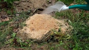 Использование опилок в огороде.