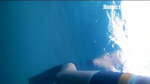 Карбоновые лопасти Flippers российского производства