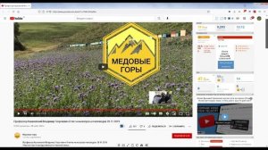 Профессор Кашковский: Чем лучше подкормить пчёл зимой?