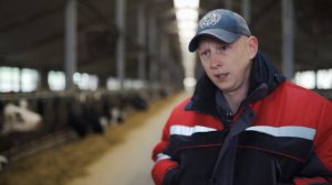 Амбар. Пивная дробина для подкормки КРС.