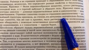 📚Биология/10/Теремов/Тема 9🖍️Углеводы/08.01.24 21:20