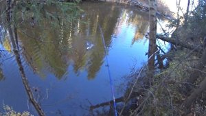 ОСЕННЯЯ РЫБАЛКА НА ТАЕЖНОМ РУЧЬЕ.ОТЛИЧНЫЙ КЛЕВ ХАРИУСА