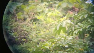 BRESSER CONDOR 20-60X80MM SPOTTING SCOPE VS SAGA 20-60X80 SPOTTER, REVIEW,VIDEO-WHICH IS BETTER