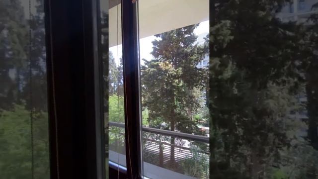 Квартира в комплексе Омега, приморский парк, Ялта смотреть онлайн