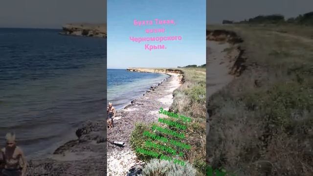 Мёртвого дельфина выбросило на берег. Черноморское, Крым. смотреть онлайн