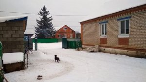 Холодный запуск Т-40. Поставили пресс в гараж. Буксируем ЮМЗ