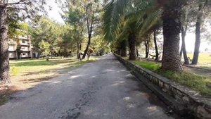 Абхазия сегодня. Погода, пляж, море. Цитрусовый совхоз Алахадзы