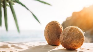 Пальмовое И Кокосовое Масло