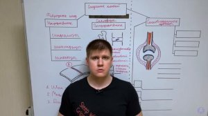 Типы соединения костей / Суставы, связки и сухожилия / Артрология