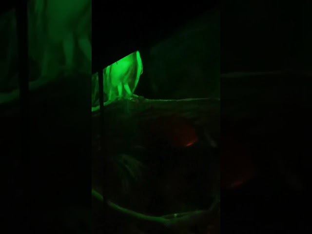 21 октября 2022 г. смотреть онлайн