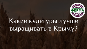 КАКИЕ КУЛЬТУРЫ лучше ВЫРАЩИВАТЬ в Крыму и что НЕ СТОИТ?