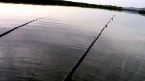 Рыбалка. Саратов, пос Водник. Трофейная рыбалка