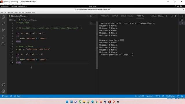 11 | Loops | For | Three Expressions For Loop | While | Until | Break and Continue Statements смотреть онлайн