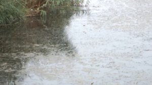 Астрахань, ерик Казачий