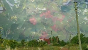 Приметы о домашних тапочках. Народные приметы и поверья