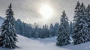 Футаж. Зимний пейзаж 34