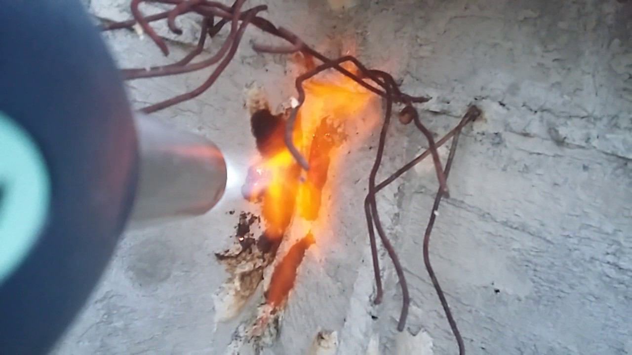 Шелкопряд. Жарим тех самых, кто жрет все подряд смотреть онлайн