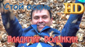 Владимир Волынкин-Стой осень