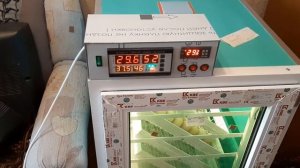Инкубатор на 400 яиц инкубация бройлера, отключили свет.