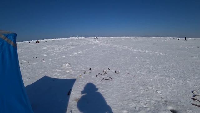 Рыбалка 7 и 8 марта. смотреть онлайн