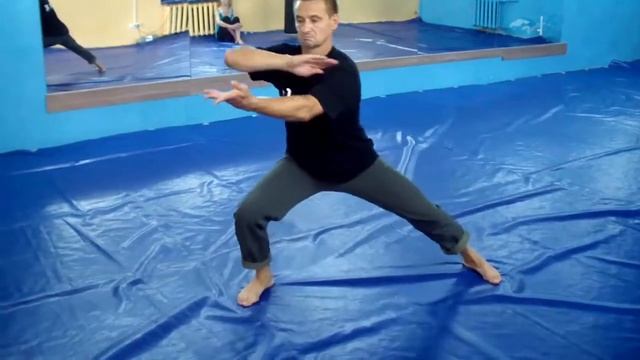 Тайцзи Цюань 48 форма смотреть онлайн