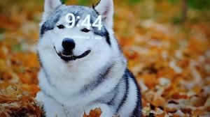 Новый вариант расположения часов в экране блокировки на Windows 11