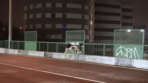 TRACES: Wekman bombing Moscow & Saint Petersburg (Part 1)