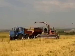 KSK-100 and T-150K silage /// КСК-100 и Т-150К заготовка сенажа