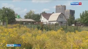 Без хозяина: как решить проблему брошенных дачных участков