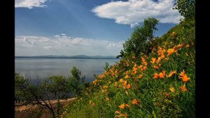 рика амур и природа Хабаровского края