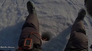 Кому СУДАК, а кому "БОЛТ". Ловля судака на ОВХ на вибы и ратлины.