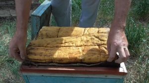 Перемещение улья с пчелами на приусадебном участке с одного места на другое.