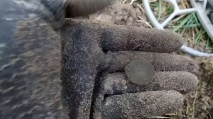 Нашла царское серебро и украшения. Поиск сокровищ. Коп с металлоискателем. В поисках клада с Дашей.