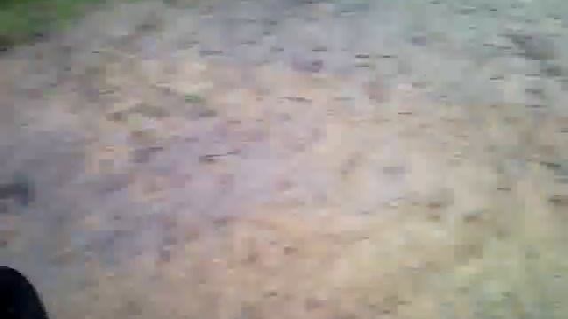 ген дачи смотреть онлайн