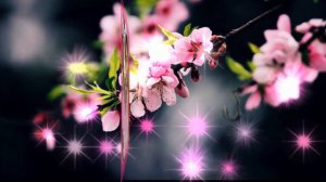 ПЕСНЯ    КЛАСС !      ТЕБЯ    НЕ     ЛЮБИТЬ     НЕВОЗМОЖНО !     АНДРЕЙ     БАНДЕРА !