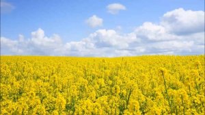 Виктор Клименко - Борзая тройка / Песнь ямщика