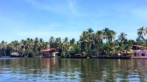 Весь штат Керала в одном видео / Индия #4