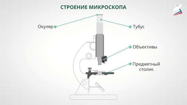 Увеличительные приборы