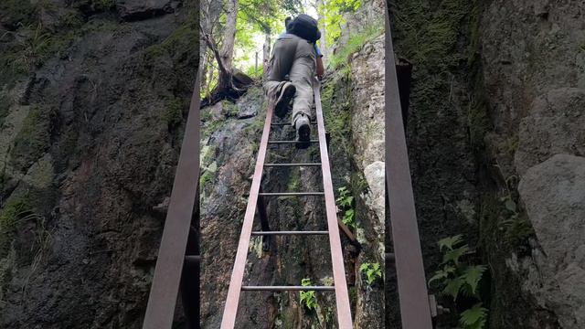 Beech Mountain Hike (Acadia National Park)