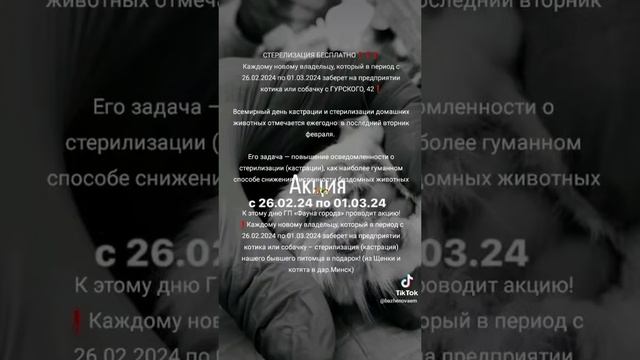 Акция Бесплатная стерилизация смотреть онлайн