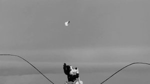 Steamboat Willie - Mickey Mouse - Lego Disney set n°21317