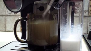 Капучино на Китфорте 743