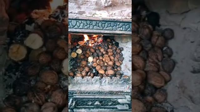 Жительница Молдавии показала в соцсетях, что топит печь грецкими орехами