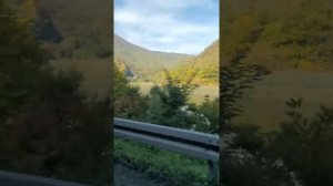 Из Белграда в Мокра гору