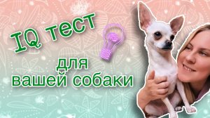 IQ ТЕСТ ДЛЯ ВАШЕЙ СОБАКИ