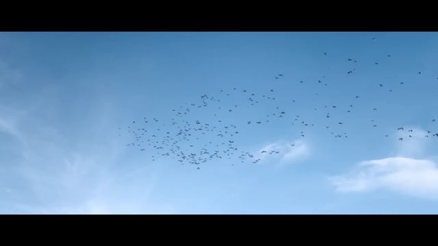 周杰倫 Jay Chou【我是如此相信 I Truly Believe】(電影天火主題曲) Official MV