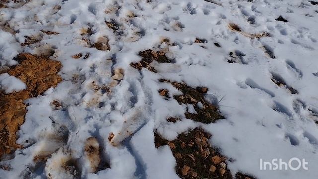 будет ли снег в севастополе 2023