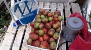 Шале и розы в горах Италии.  Что я приготовила с высушенных бархатцев , и всякие мелочи.